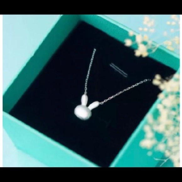 Jewelry - Rabbit Long chain Necklace Sterling Silver 3/45$